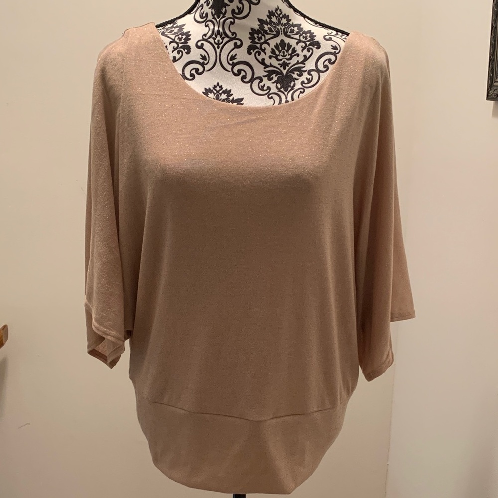 Apt. 9 Shimmery Taupe Dolman Sleeve Top